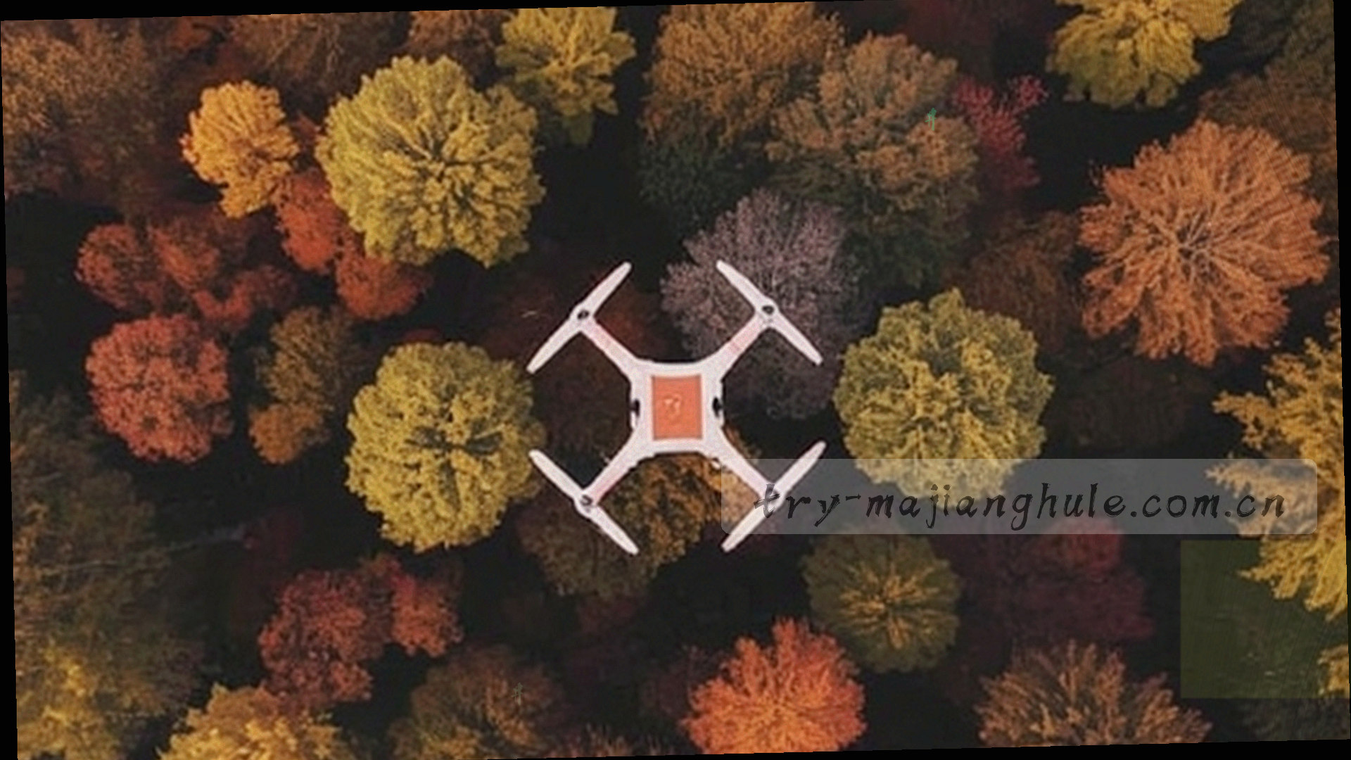 墨绿色渐变背景中的麻将牌特写，一筒与一条半透明鎏金描边，营造传统与现代交融的会所氛围